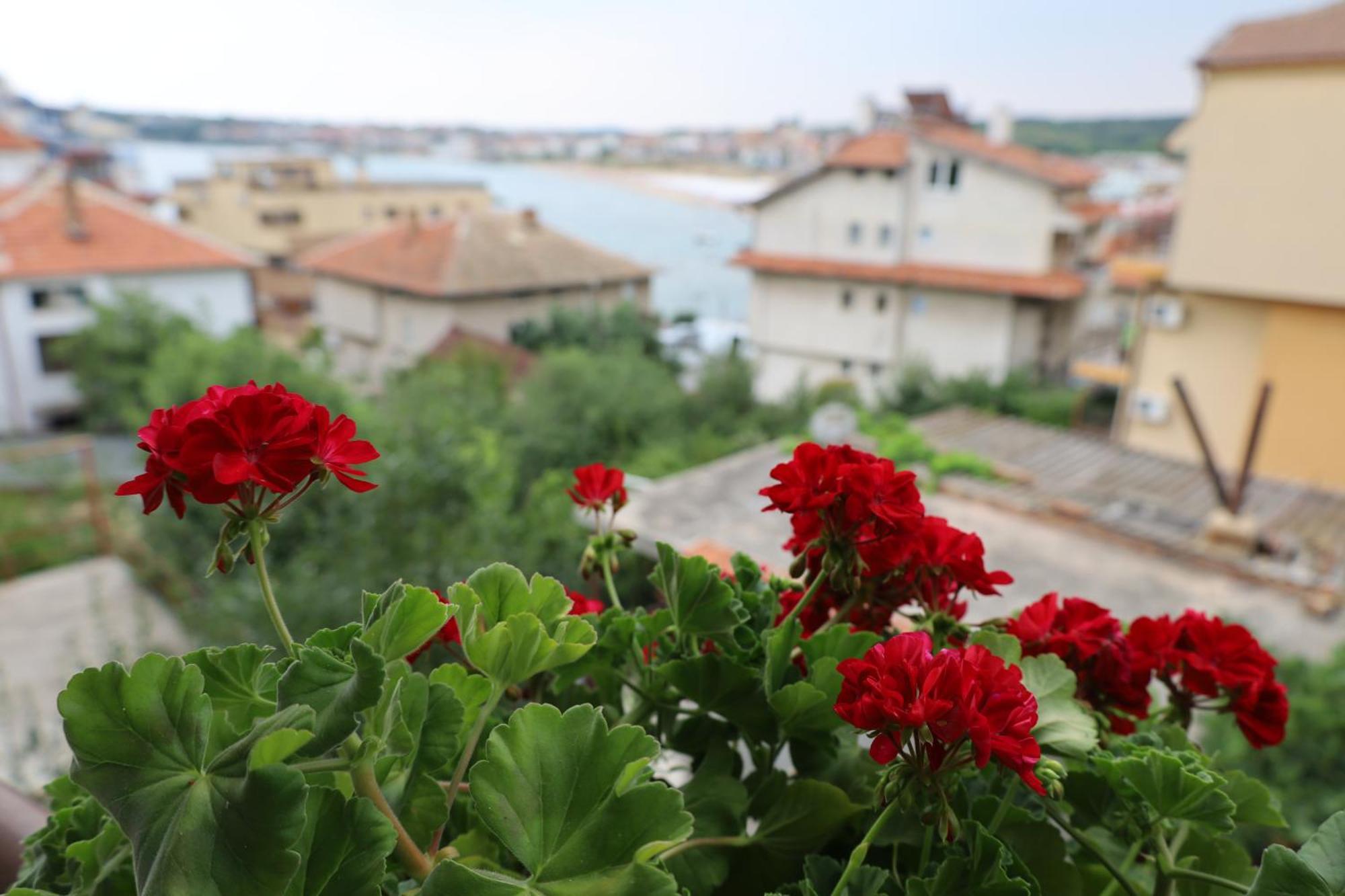 Kalina Guest Rooms Szozopol Kültér fotó